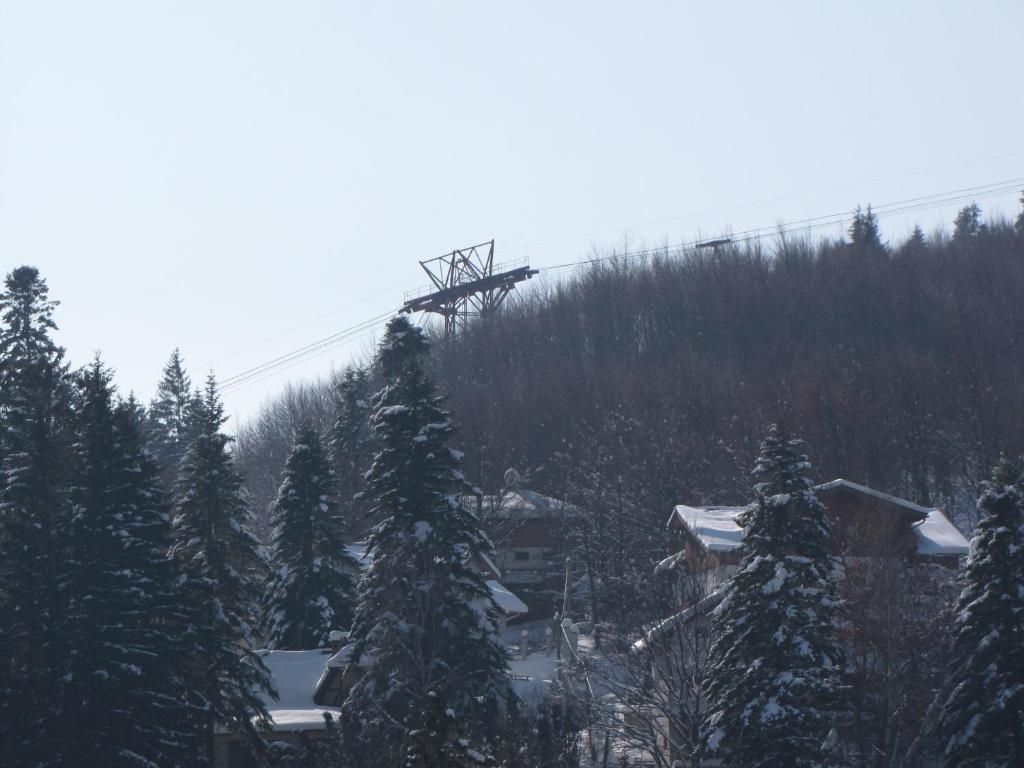 Апартаменты (Апартаменты с 1 спальней), Hotel Silvia Apart Sinaia