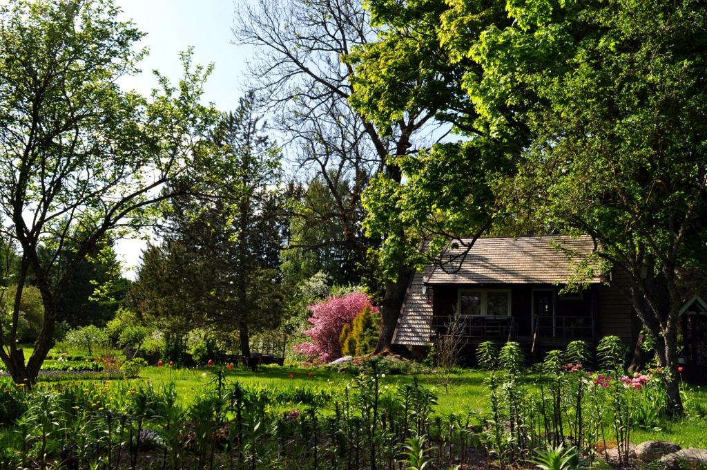 Номер (Дом для отпуска), Mokko Country Hotel