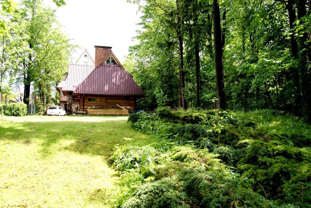 Номер (Шале с 1 спальней), Domek Drewniany Tetmajera Centrum Zakopane