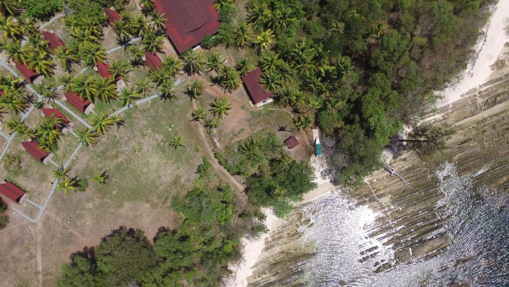 Двухместный (Двухместный номер с 1 кроватью и с видом на океан) курортного отеля North Borneo Biostation Resort, Кота-Кинабалу