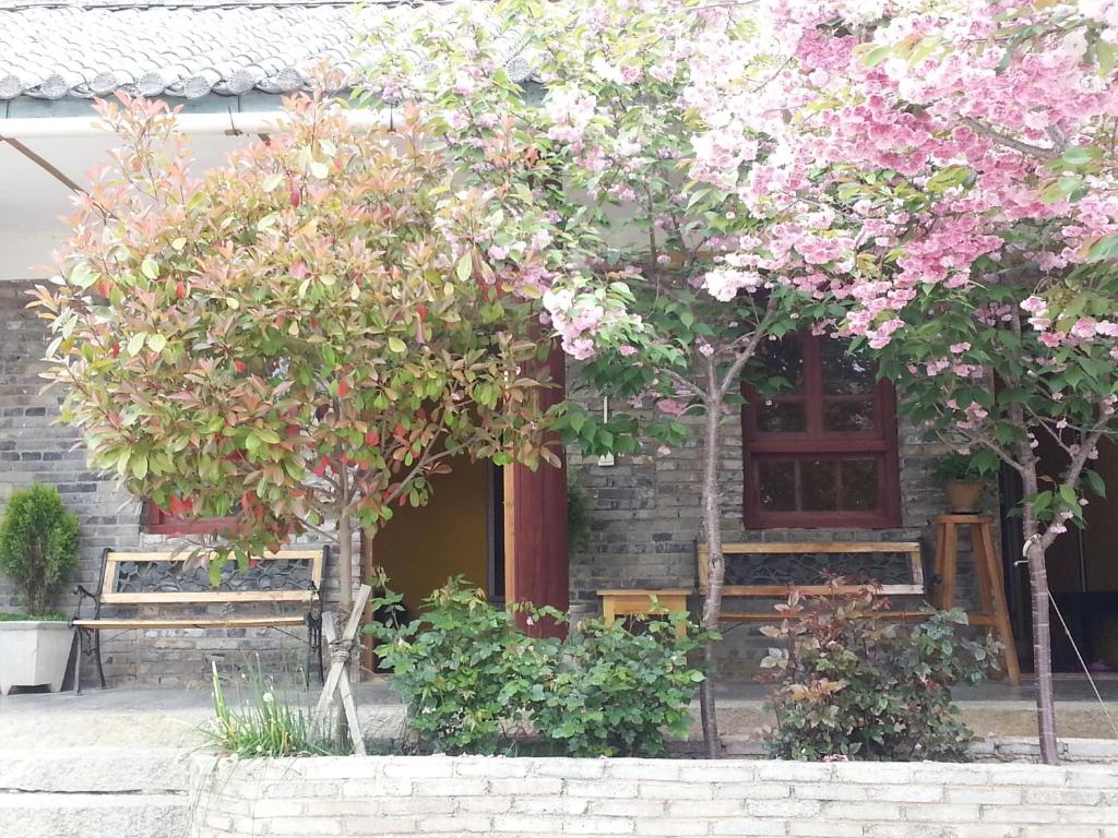 Номер (Односпальная кровать в общем номере) гостевого дома Kevin's Trekker Inn, Шангри-Ла (Тибет)