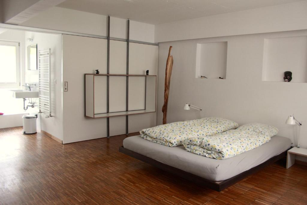 Двухместный (Двухместный номер с 1 кроватью и собственной ванной комнатой) хостела Basel BackPack, Базель
