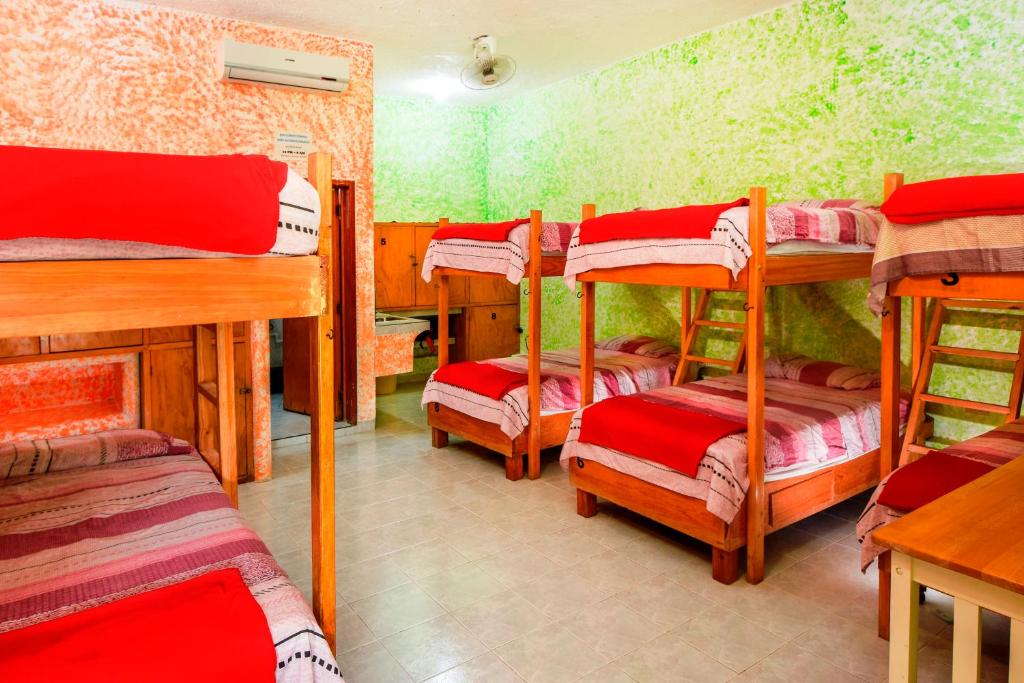 Номер (Спальное место на двухъярусной кровати в общем 8-местном номере для мужчин и женщин) хостела Amigos Hostel Cozumel, Косумель