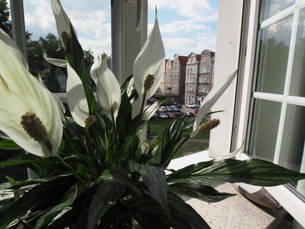 Апартаменты (Апартаменты-студио - ul. Złotników 9) апартамента Grand-Tourist Trident Apartments, Гданьск