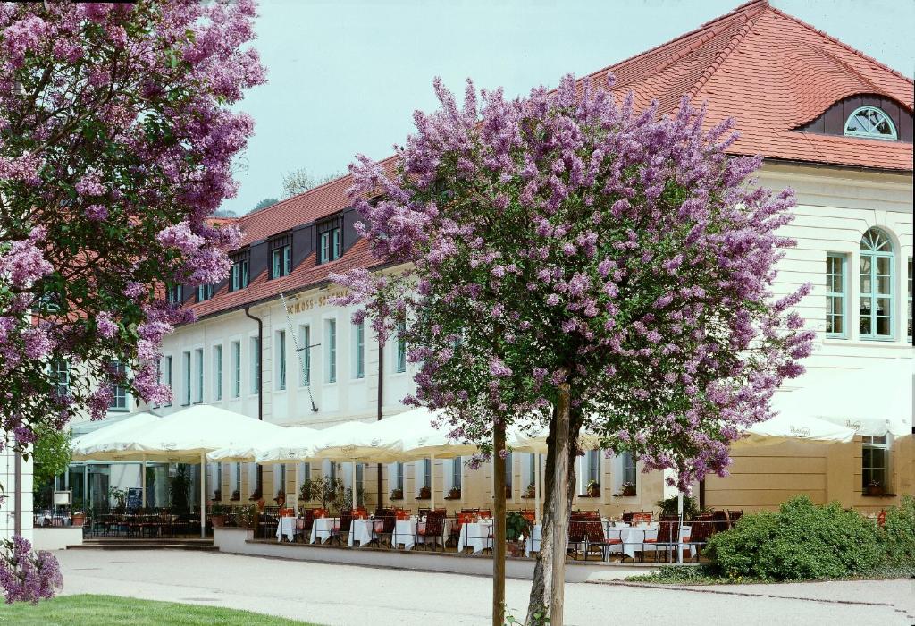 Schloss Hotel Dresden Pillnitz, Дрезден