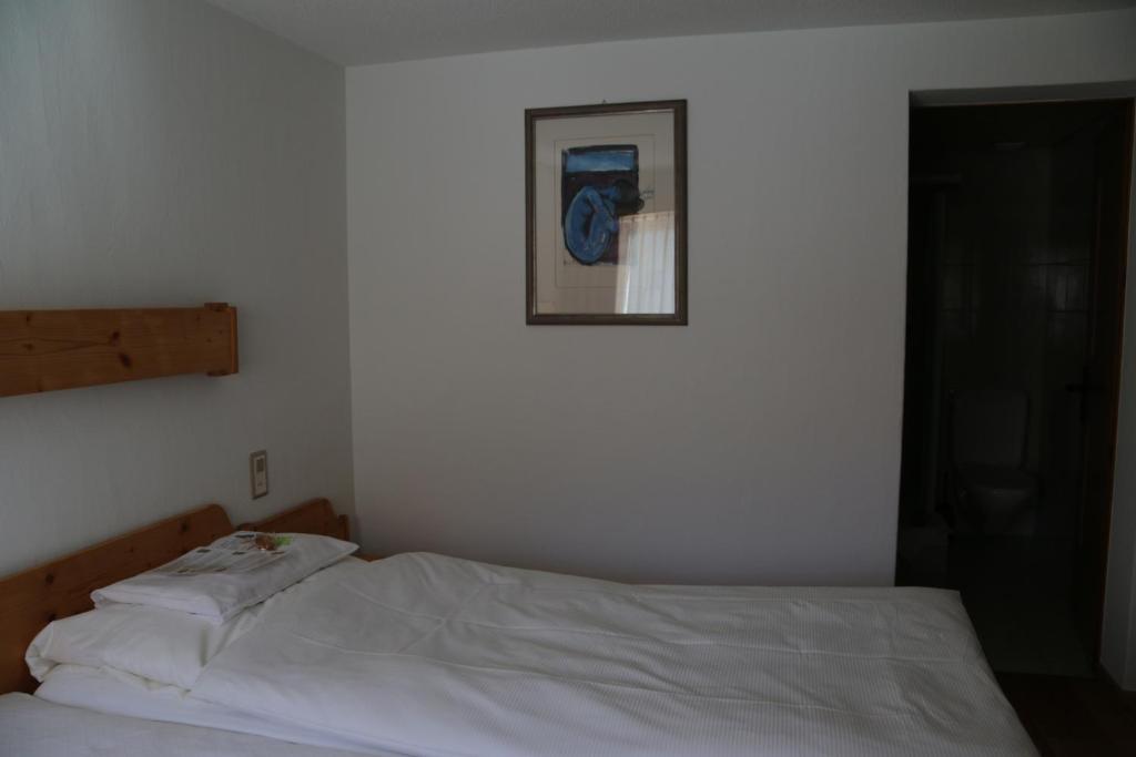 Двухместный (Стандартный двухместный номер с 1 кроватью) отеля Hotel Helvetia, Мюстаир