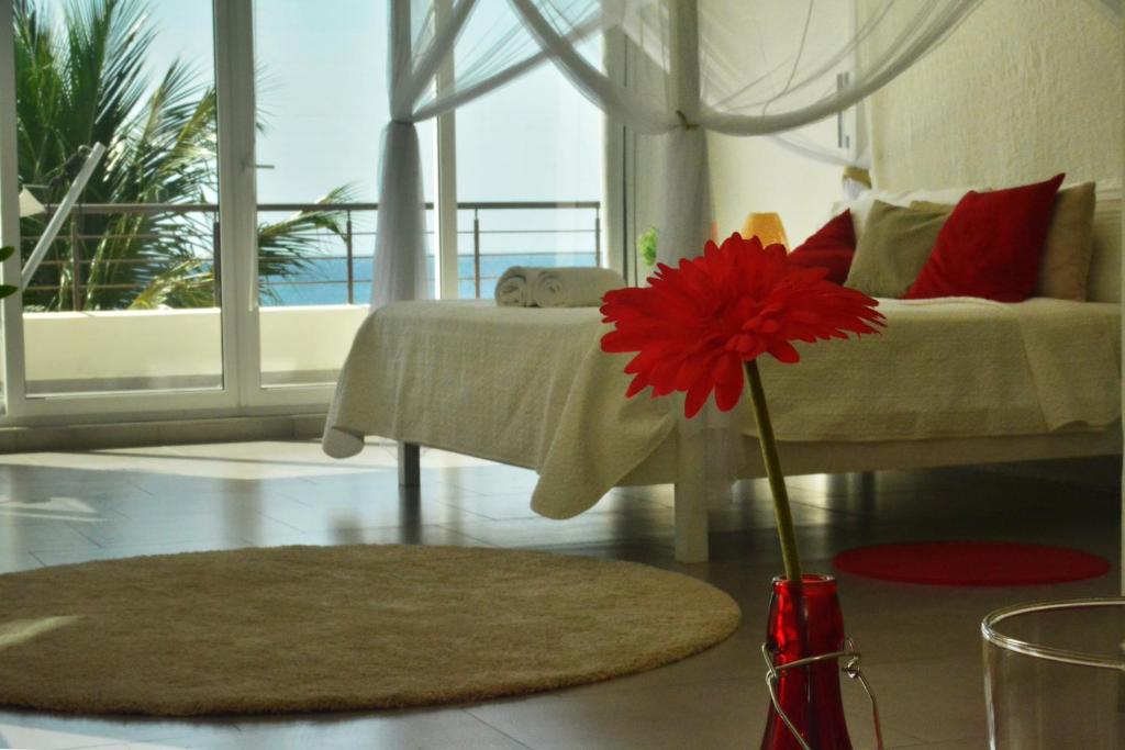 Апартаменты (Апартаменты с видом на море) апарт-отеля Infiniti Blu Luxury Ocean Front Condos, Сосуа