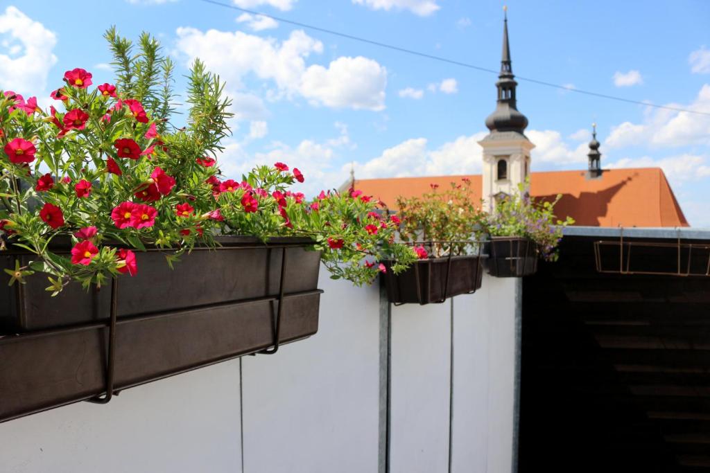 Четырехместный (Апартаменты с террасой и видом на город), Jacob Brno Apartments