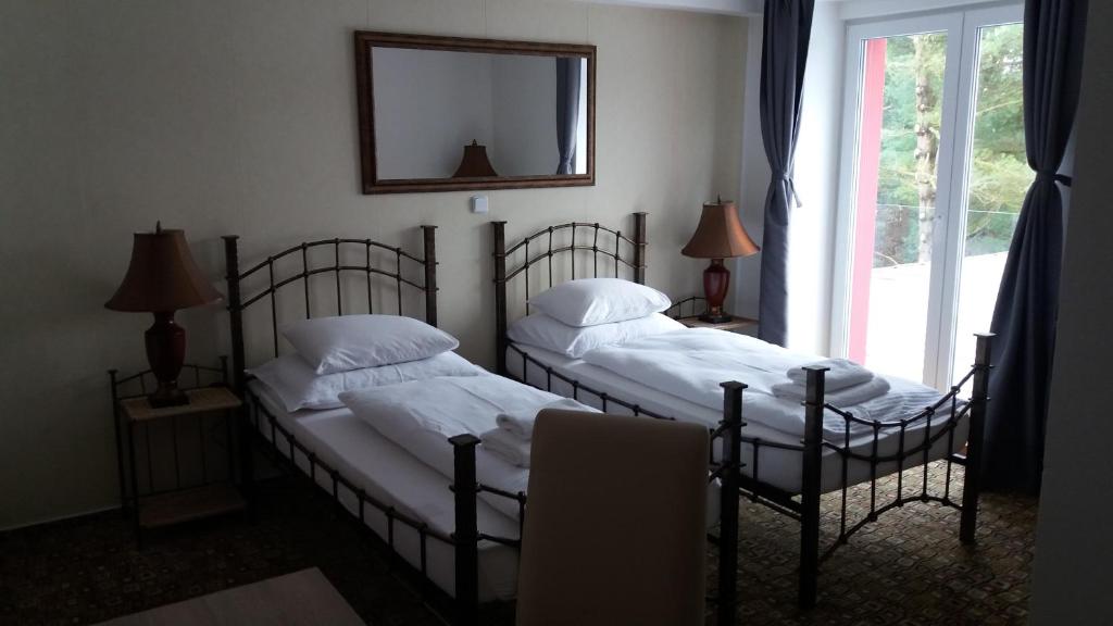 Двухместный (Двухместный номер с 2 отдельными кроватями и ванной комнатой) отеля BouCZECH, Липно-над-Влтавой