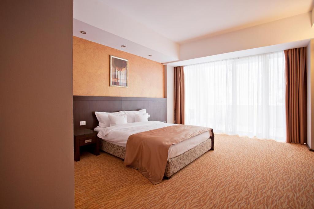 Двухместный (Представительский двухместный номер с правом посещения спа) отеля Hotel Clermont, Ковасна