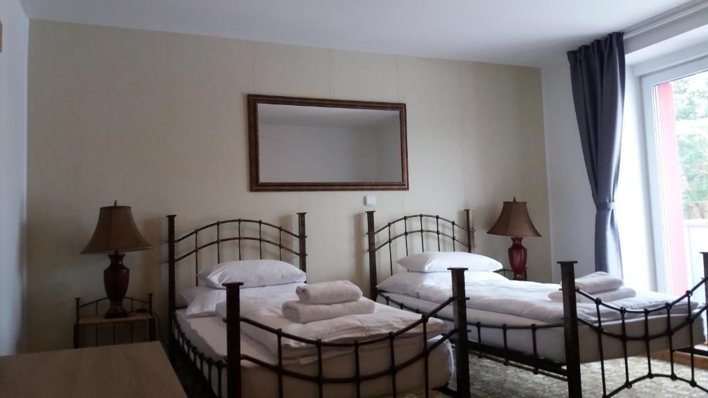 Двухместный (Двухместный номер с 2 отдельными кроватями - Подходит для гостей с ограниченными физическими возможностями) отеля BouCZECH, Липно-над-Влтавой