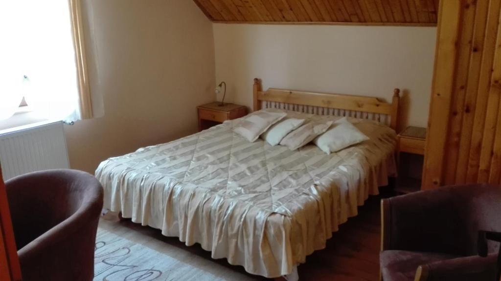 Двухместный (Стандартный двухместный номер с 1 кроватью) гостевого дома Pension Casa Contelui, Рышнов