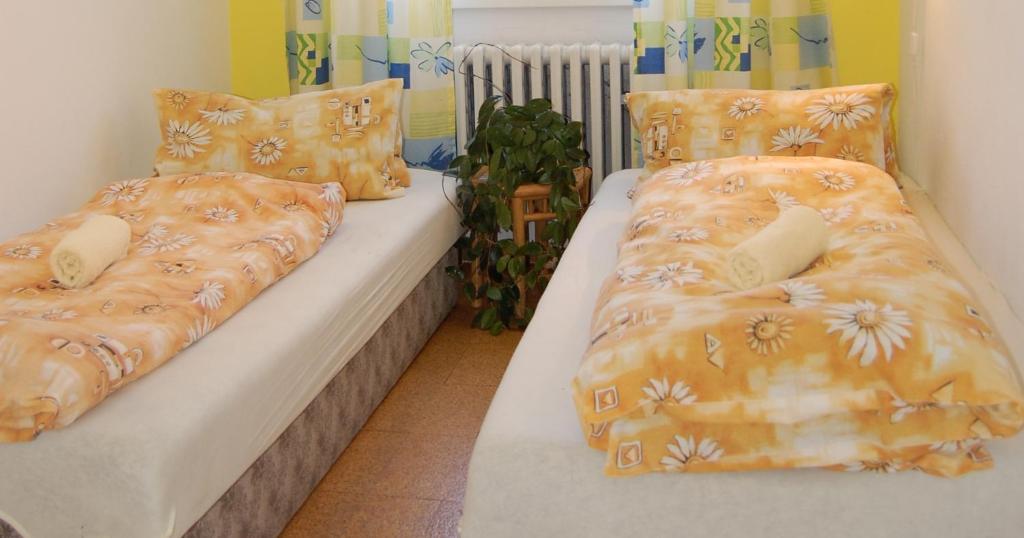Двухместный (Бюджетный двухместный номер с 2 отдельными кроватями) гостевого дома Eliska, Горни-Плана