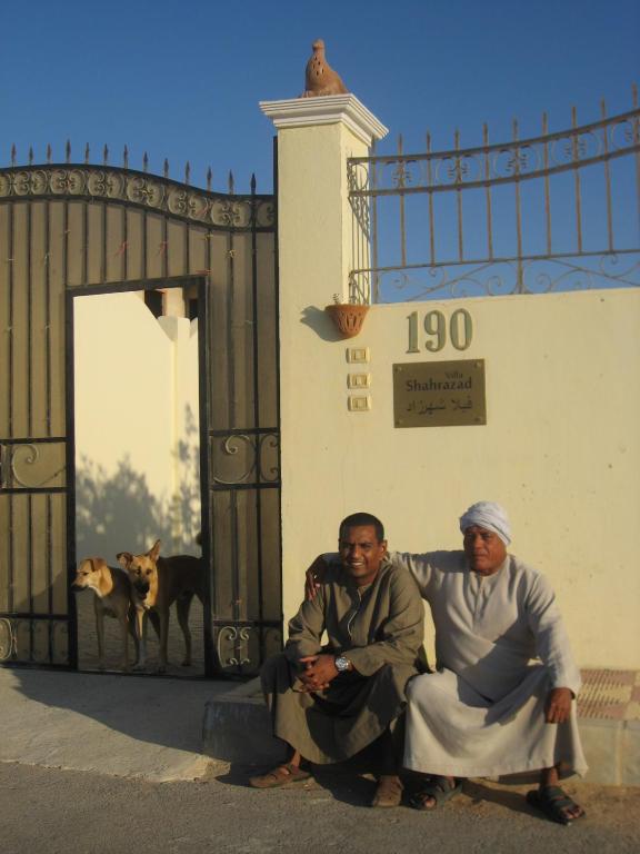 Вилла (Вилла с собственным бассейном), Villa Shahrazad Hurghada