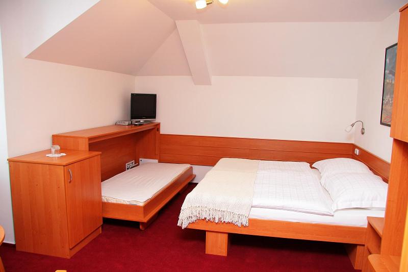 Двухместный (Двухместный номер с 1 кроватью или 2 отдельными кроватями) гостевого дома Penzion Bocheta, Нови-Йичин