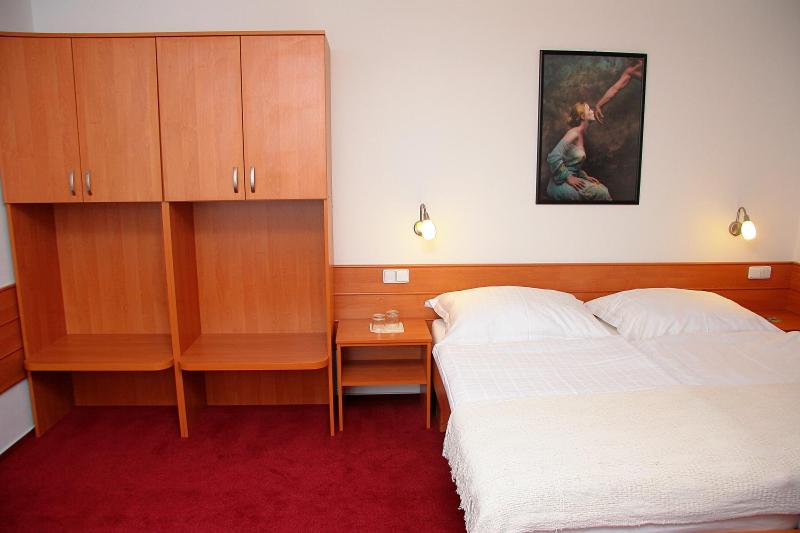 Двухместный (Двухместный номер с 1 кроватью) гостевого дома Penzion Bocheta, Нови-Йичин