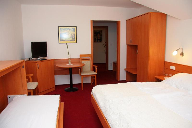 Двухместный (Двухместный номер с 1 кроватью и собственной ванной комнатой) гостевого дома Penzion Bocheta, Нови-Йичин