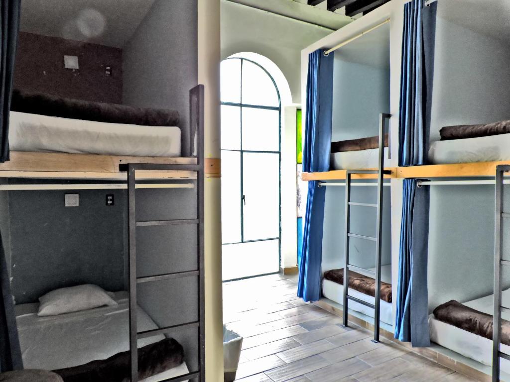 Номер (Кровать в общем 8-местном номере для мужчин), Capsule Hostel