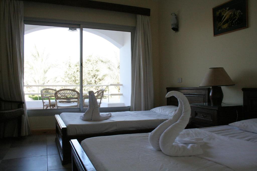 Двухместный (Двухместный номер с 1 кроватью или 2 отдельными кроватями) курортного отеля Oonas Dive Club, Шарм-эль-Шейх
