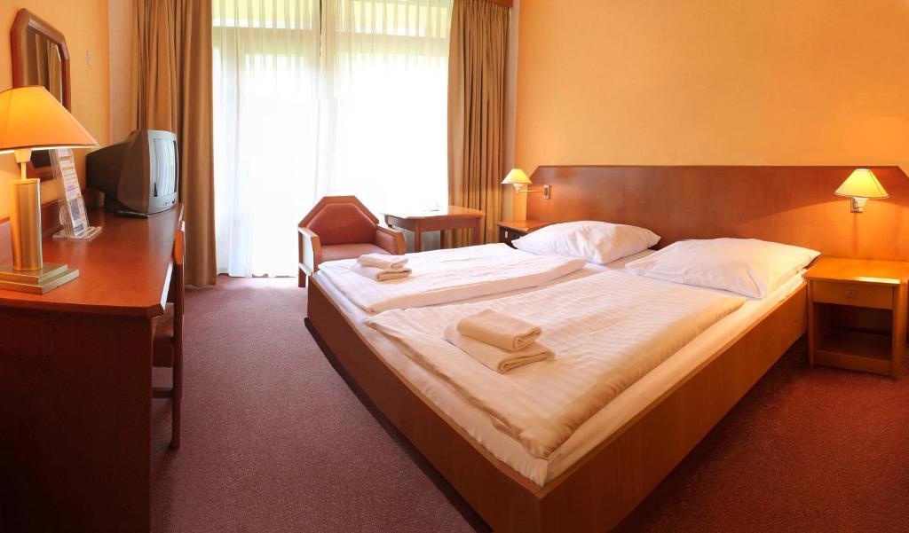 Двухместный (Стандартный двухместный номер с 1 кроватью или 2 отдельными кроватями) отеля Harmonie, Лугачовице