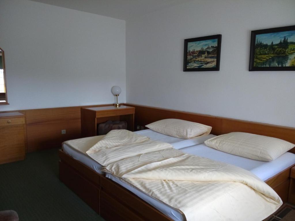 Двухместный (Двухместный номер Делюкс с 1 кроватью) отеля Hotel BESTAR, Млада-Болеслав
