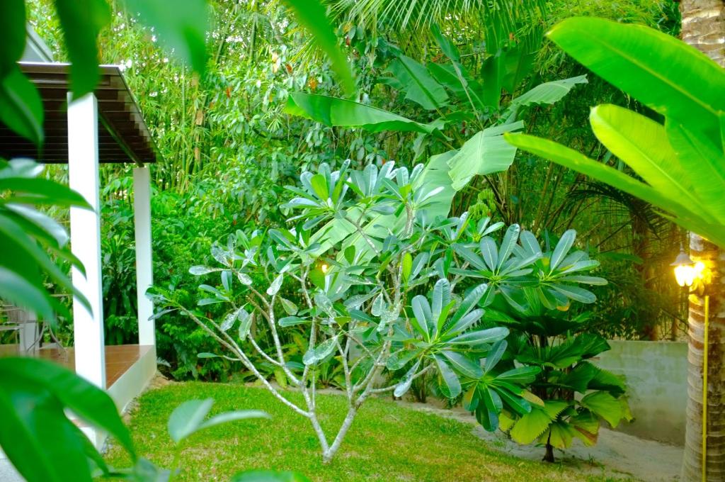 Номер (Дом для отпуска), The Nature House Aonang Krabi Thailand