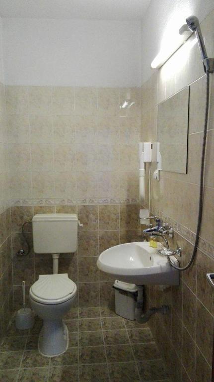 Двухместный (Двухместный номер с 2 отдельными кроватями и собственной ванной комнатой) гостевого дома Tsvetkovi Guest House, Добриниште