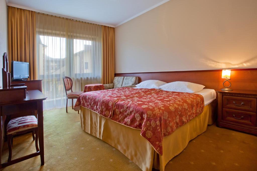 Двухместный (Двухместный номер с 1 кроватью или 2 отдельными кроватями) отеля Hotel Klimek Spa, Мушина