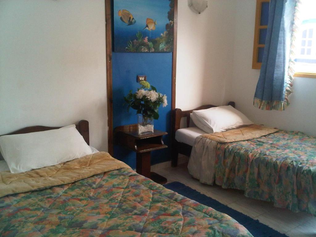 Двухместный (Двухместный номер с 2 отдельными кроватями) хостела Neptune Hotel, Дахаб