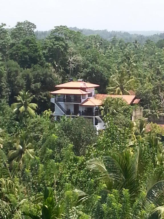 Villa Jungle Paradise