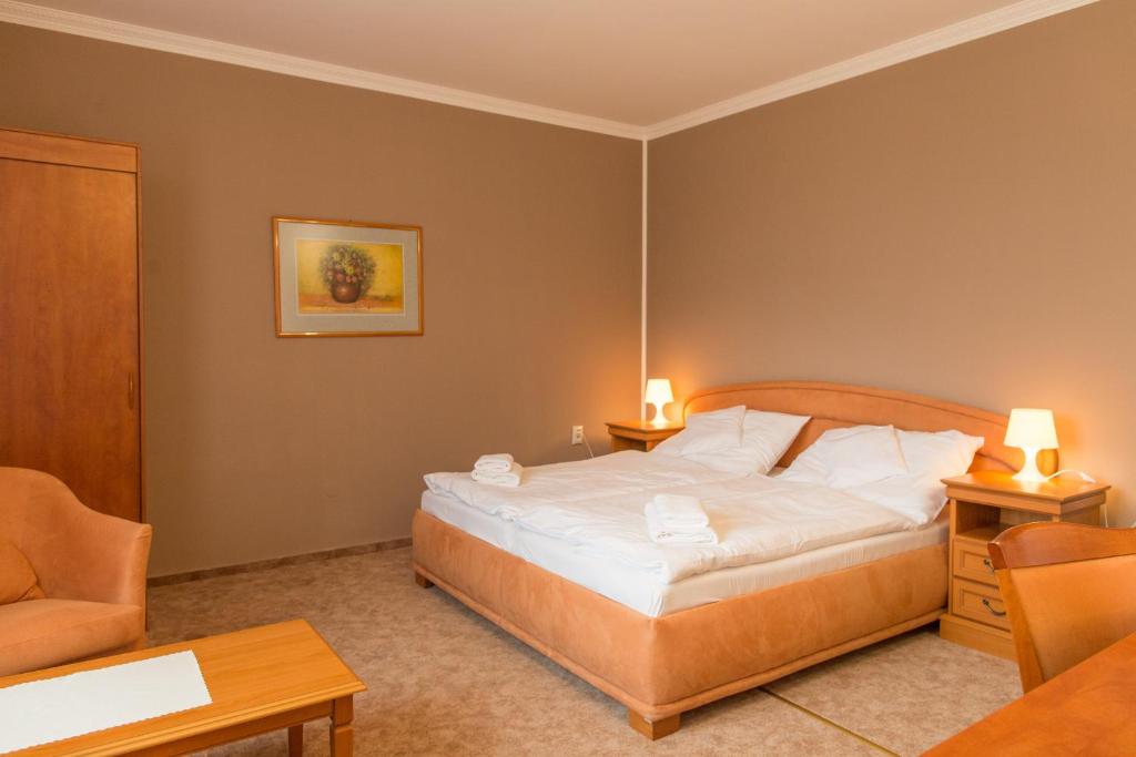 Двухместный (Стандартный двухместный номер с 1 кроватью или 2 отдельными кроватями) отеля Hotel Grand, Жилина