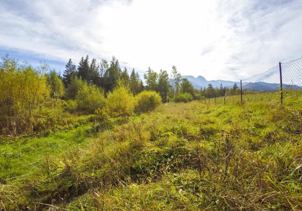 Двухместный (Двухместный номер с 1 кроватью и балконом), Base Camp 2 Zakopane