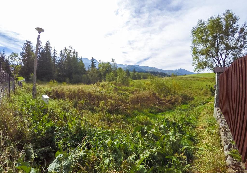 Двухместный (Двухместный номер с 1 кроватью и балконом), Base Camp 2 Zakopane