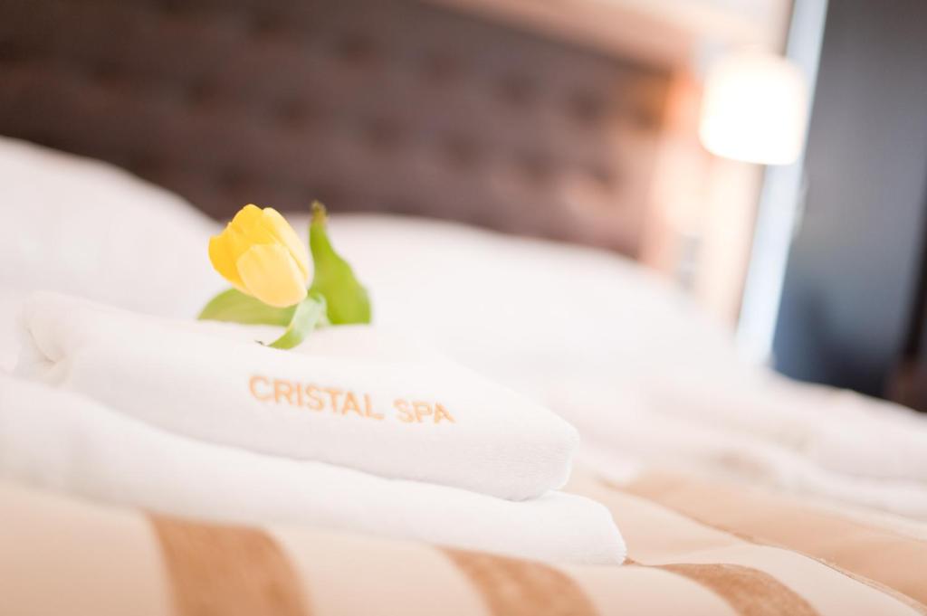 Одноместный (Стандартный одноместный номер) курортного отеля Cristal SPA, Дзвижино