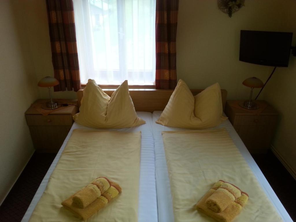 Двухместный (Двухместный номер эконом-класса с 1 кроватью или 2 отдельными кроватями) гостевого дома Elisabeth, Шпиндлерув Млын