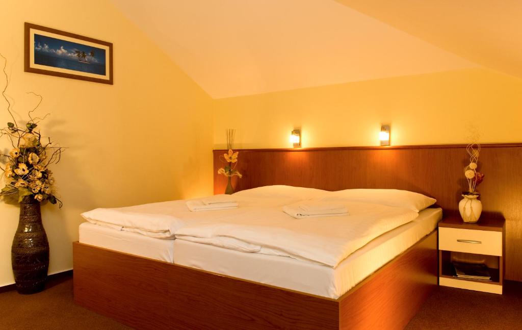 Двухместный (Классический двухместный номер с 1 кроватью или 2 отдельными кроватями) гостевого дома Penzion Franko, Зволен