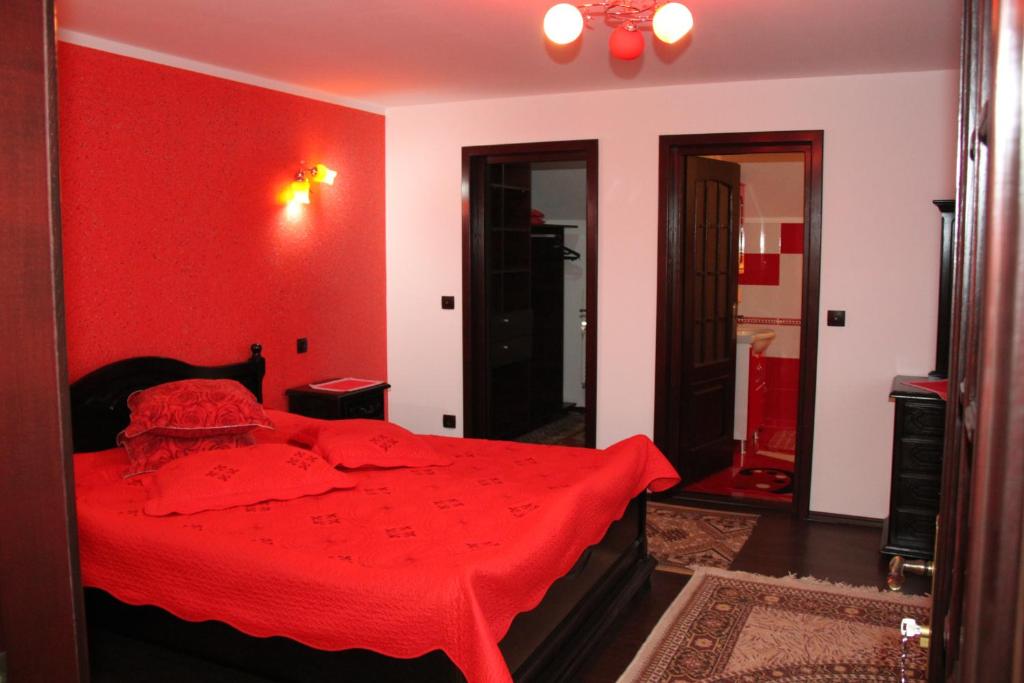 Двухместный (Двухместный номер с 1 кроватью и собственной ванной комнатой) гостевого дома Pensiunea Casa Cristina, Гура-Гуморулуй