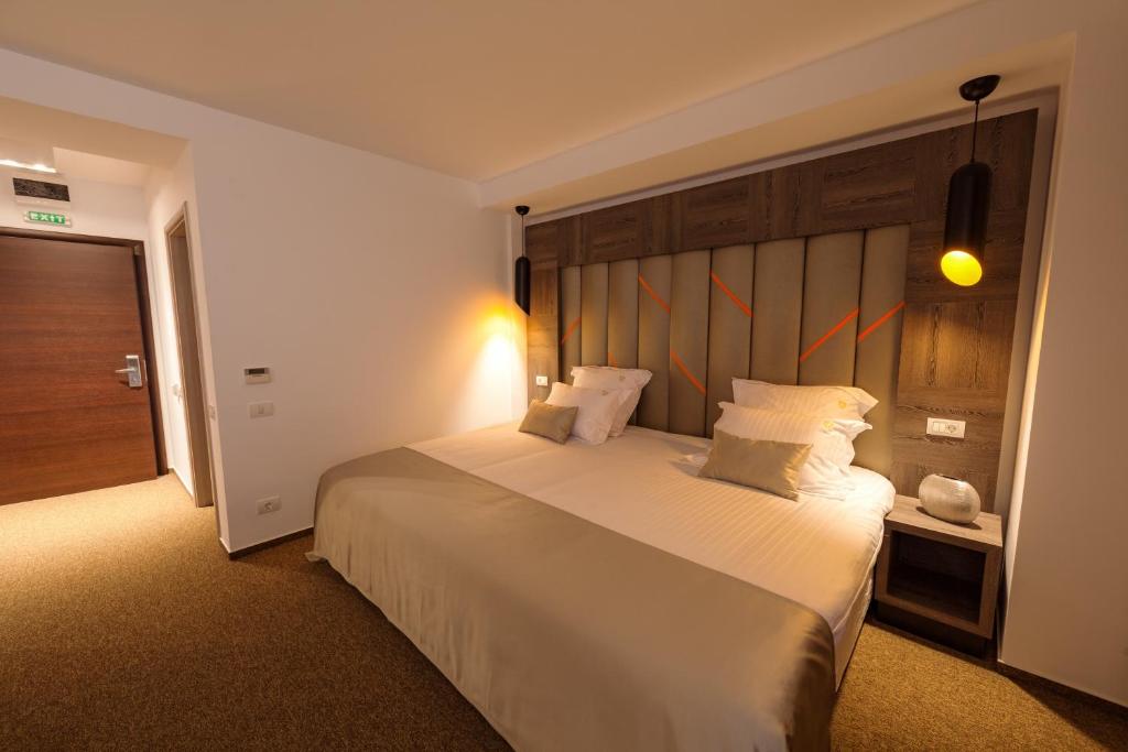 Двухместный (Улучшенный двухместный номер с 1 кроватью и пакетом медицинских услуг) курортного отеля Premium Wellness Institute, Бухарест