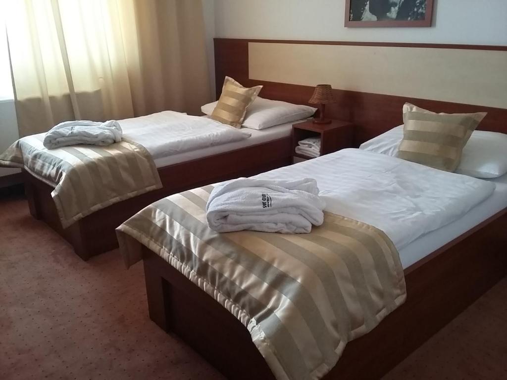 Двухместный (Стандартный двухместный номер с 2 отдельными кроватями) отеля Hotel Auto Jas, Нитра