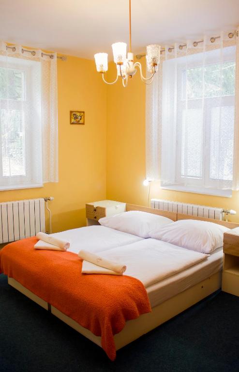 Двухместный (Стандартный двухместный номер с 1 кроватью) гостевого дома Villa Zora, Бардеевске-Купеле