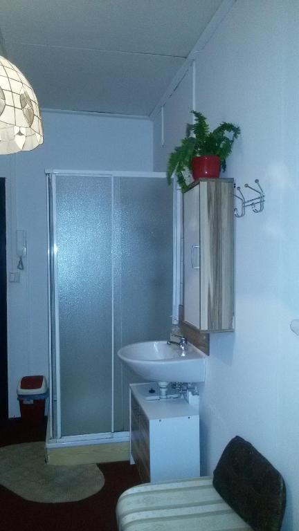 Двухместный (Двухместный номер с 2 отдельными кроватями и душем) гостевого дома Penzion Vlasta, Хренско
