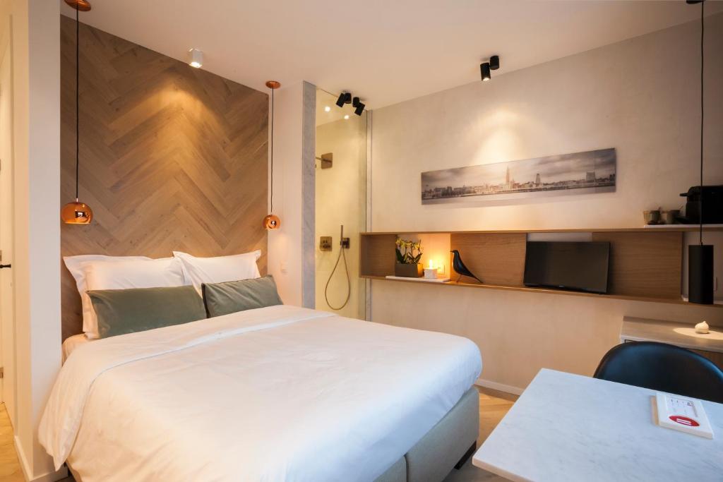 Двухместный (Двухместный номер с 1 кроватью и видом на город) апартамента Kaai11 Cityflats & Rooms, Антверпен