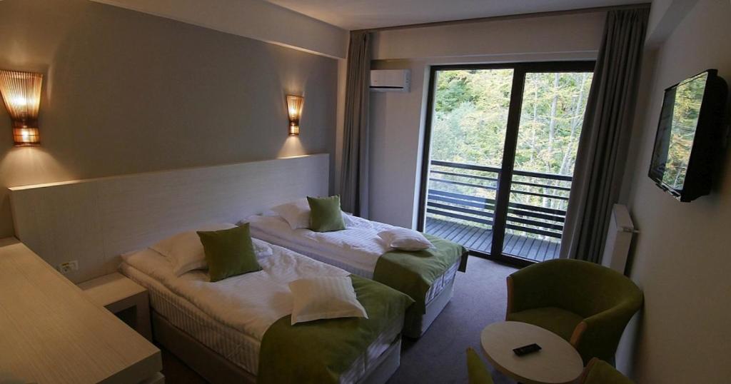 Двухместный (Двухместный номер с 2 отдельными кроватями) отеля Hotel Posada Vidraru, Рымнику-Вылча