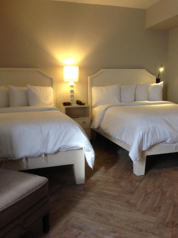 Четырехместный (Номер с 2 кроватями размера «queen-size»), Hollywood Hotel - The Hotel of Hollywood Near Universal Studios