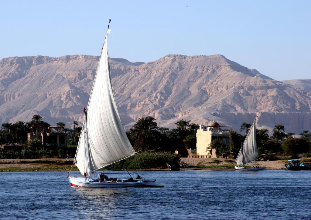 Трехместный (Улучшенный двухместный номер с 1 кроватью) отеля Iberotel Luxor, Луксор