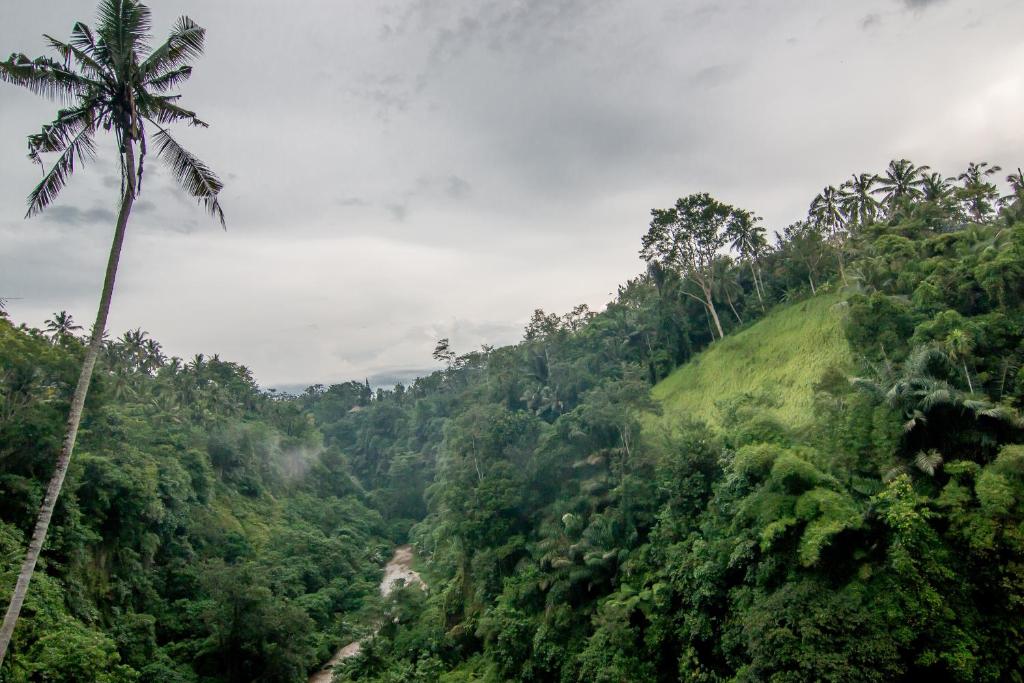 Сьюит (Люкс для новобрачных), Ulun Ubud Resort