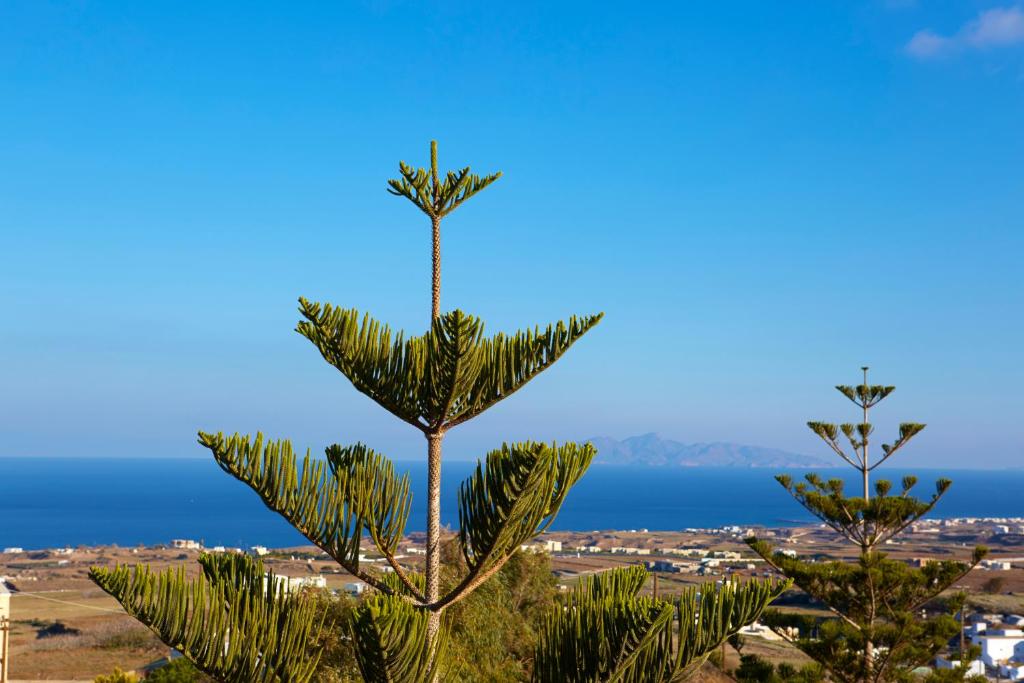 Двухместный (Стандартный  двухместный номер (после ремонта)), Milos Villas Hotel