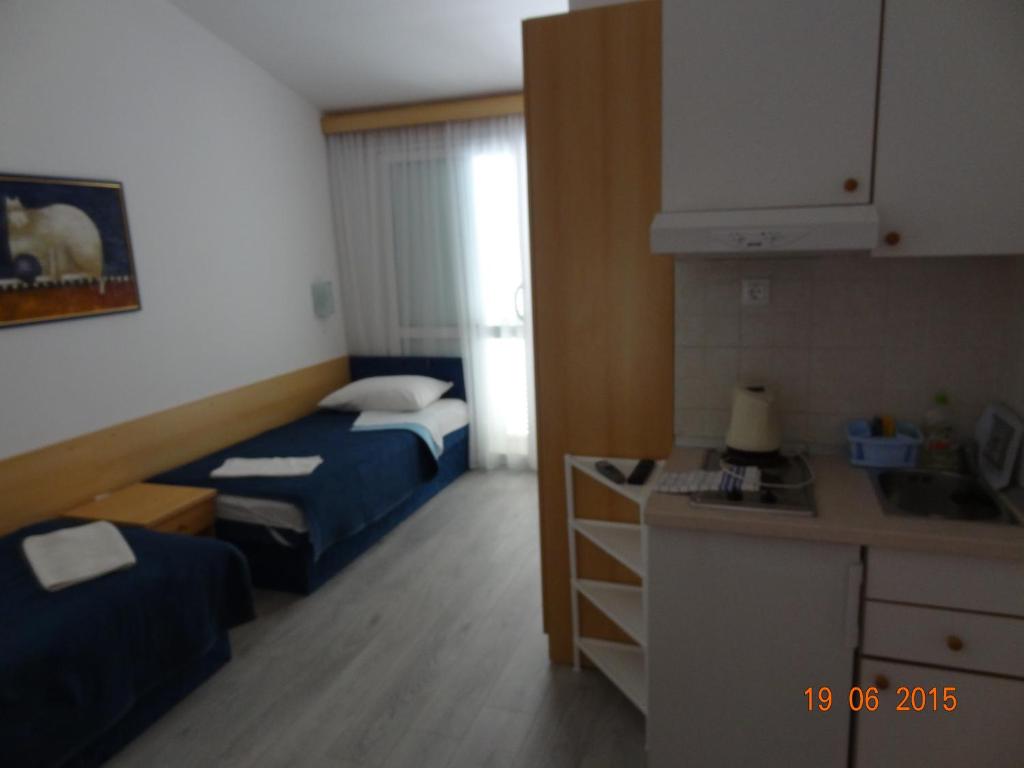 Двухместный (Двухместный номер-студио с 1 кроватью или 2 отдельными кроватями) апартамента Apartments Klaricic, Живогошче