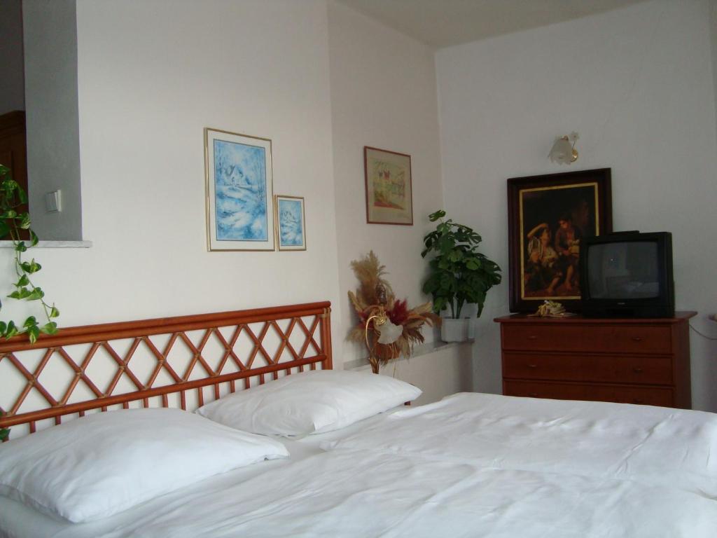 Двухместный (Двухместный номер с 1 кроватью или 2 отдельными кроватями) гостевого дома Olivia, Прага