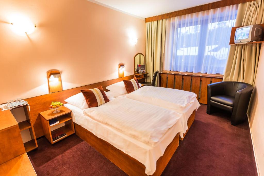 Двухместный (Двухместный номер с 1 кроватью или 2 отдельными кроватями) отеля Hotel Sachticka, Банска-Бистрица
